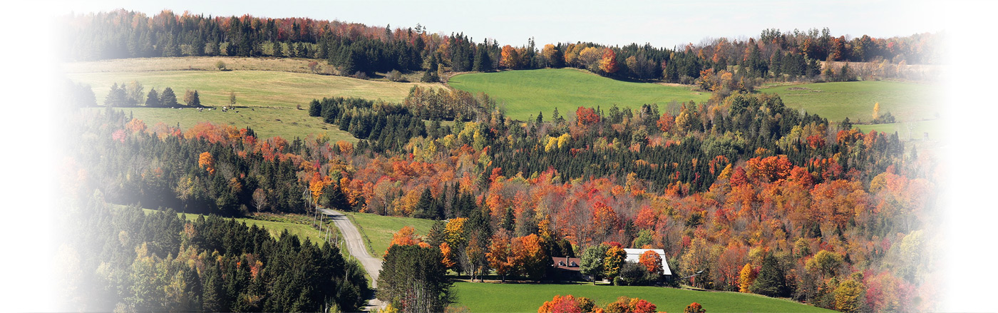 Paysage de Dixville